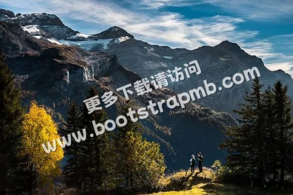 ⊞ Portfolio - 奇异果体育直播APP
